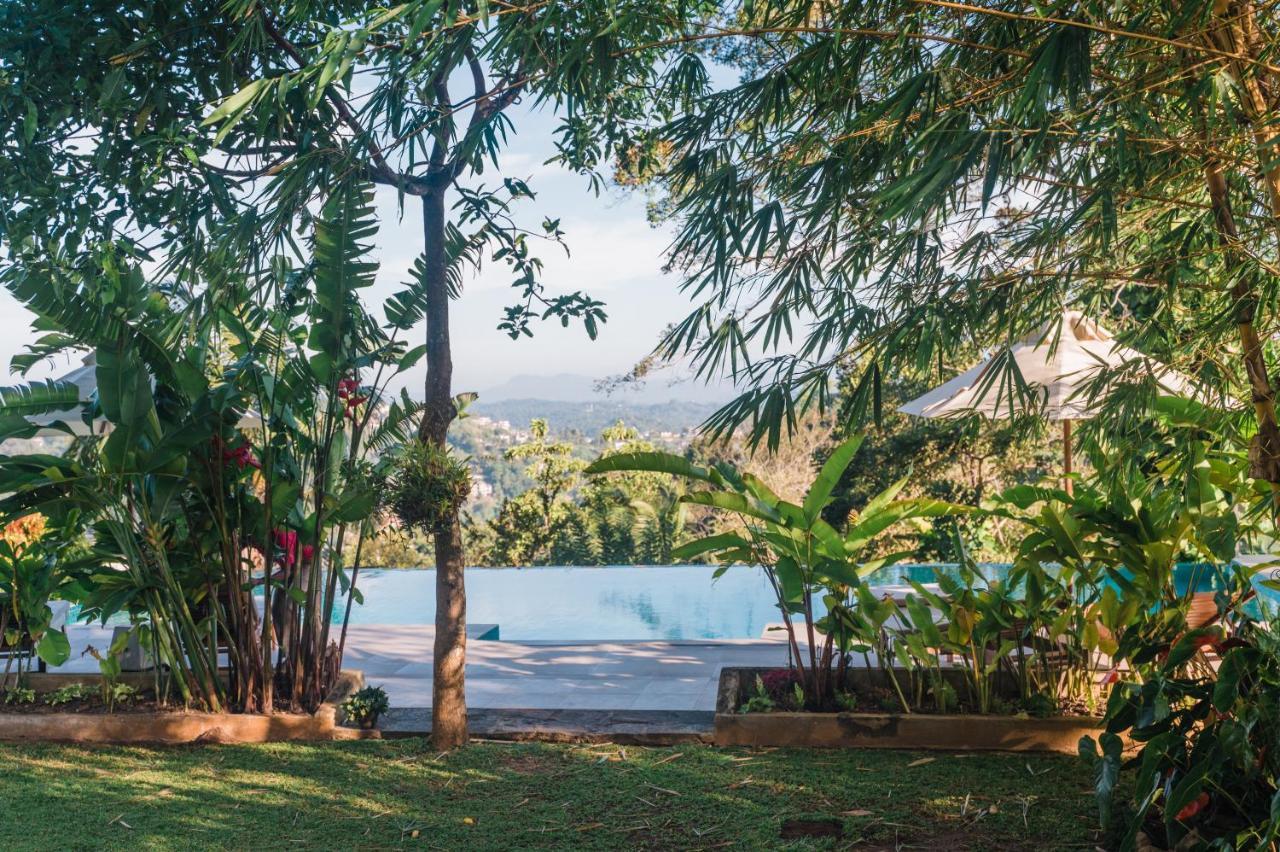 קנדי Villa Shenandoah מראה חיצוני תמונה