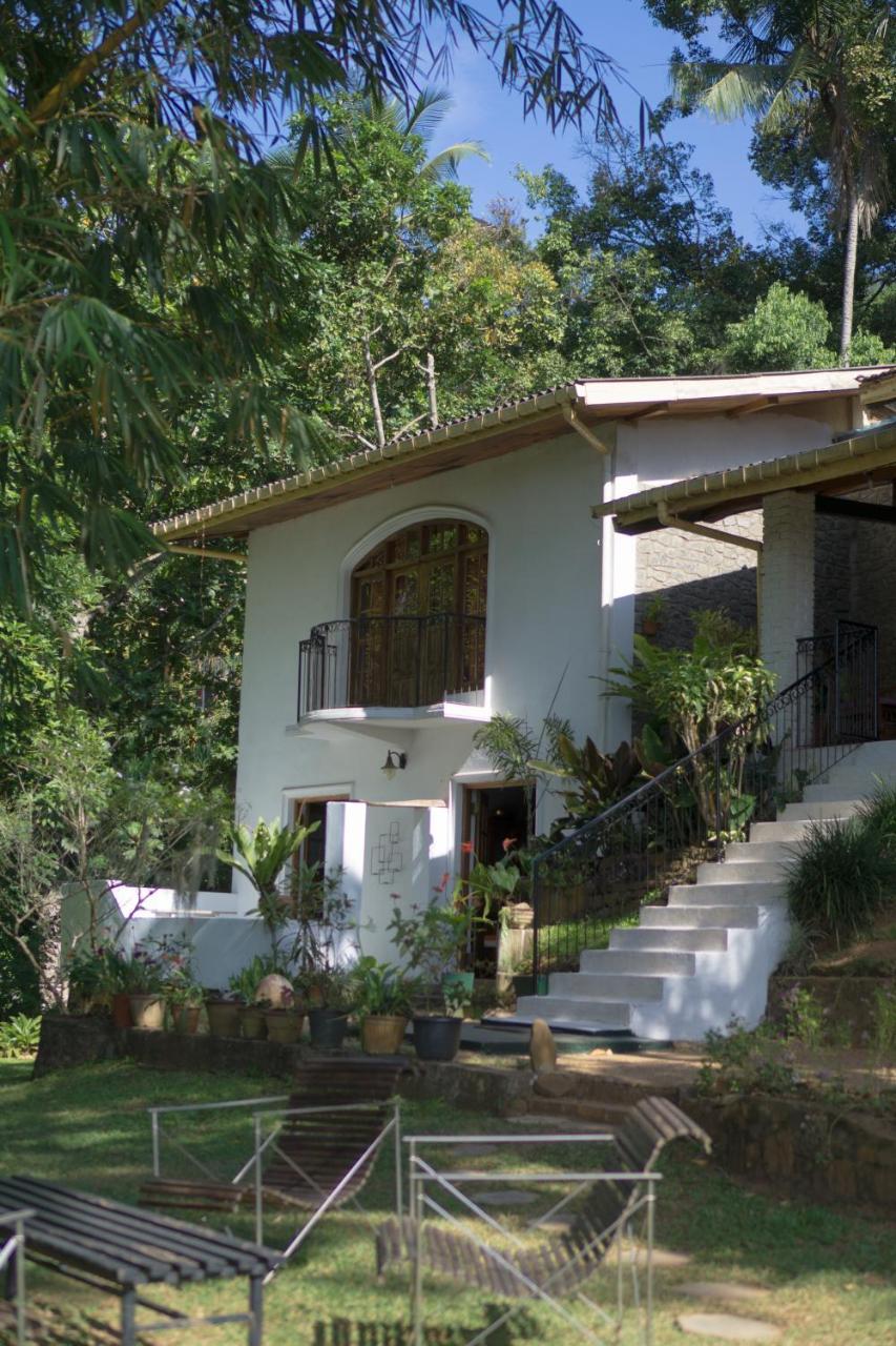 קנדי Villa Shenandoah מראה חיצוני תמונה